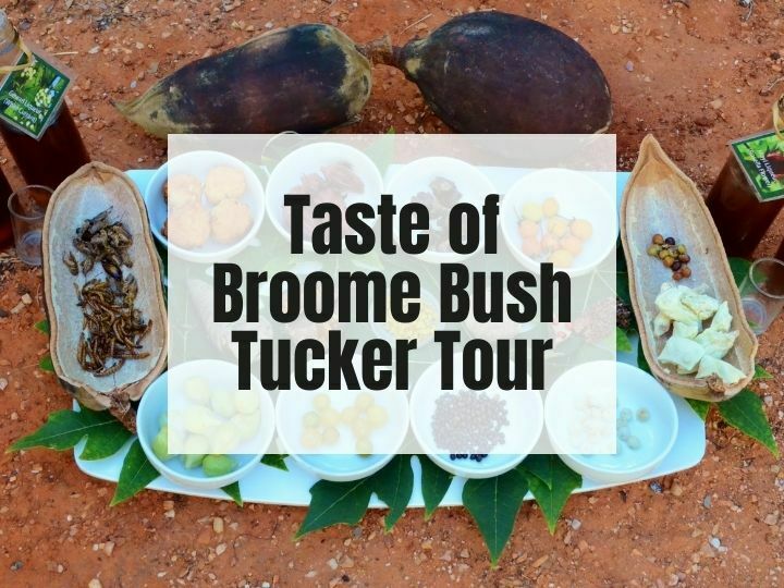 Taste of Broome Tour